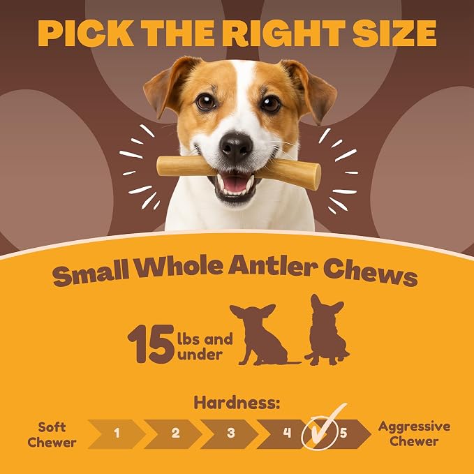 WhiteTail Naturals - Antlers for Extra Small Dogs (6 Pack) Deer Antler Dog Chew Bones for Extra Small Aggressive Chewers - Long Lasting Horn Chew Toys - Naturally Shed