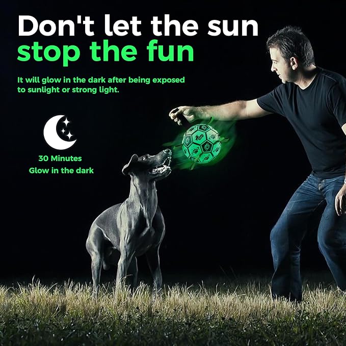 QDAN Glow in the Dark Dog Ball, Light Up Dog Toys, Luminous Glow Soccer Ball for Dogs, Outdoor Dog Toys, Doggy Water Toy, Puppy Birthday Gifts for Small Medium (6 Inch)