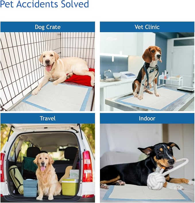 Puppy Pee Pads, 22 x 22 Inch 600 Count Pet Potty Training Pads for Dogs, Leak-Proof Quick Absorb 6-Layer Design, Ideal for Puppies, Cats, Rabbits, and Guinea Pigs, Blue