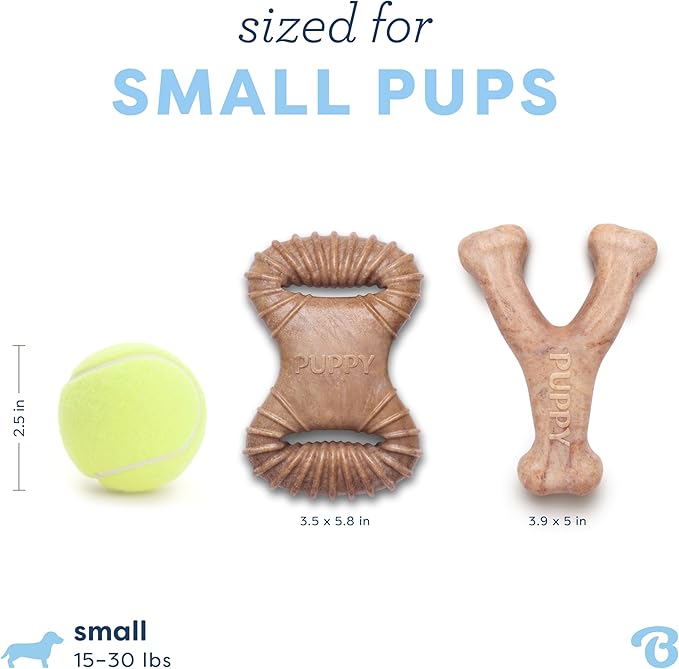 Benebone Puppy 2-Pack Dental Chew/Wishbone Durable Dog Chew Toys for Gentle Chewers, Real Bacon, Made in USA, Small