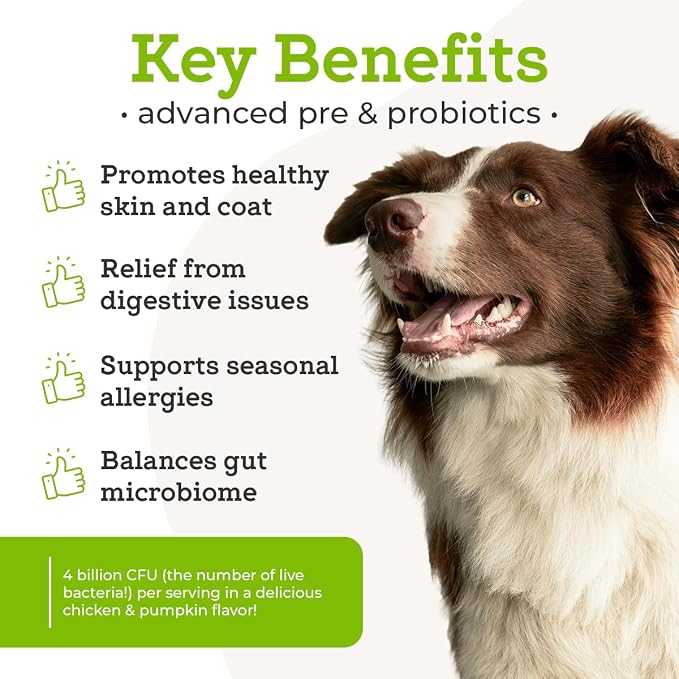 Dr. Joseph's VetPro Complete Advanced Pre & Probiotics Powder for Dogs, Meal Topper, 90 Scoops, Supports Gut Health, Diarrhea, Digestive Health & Allergies, Chicken/Pumpkin Flavor, 4 Billion CFUs