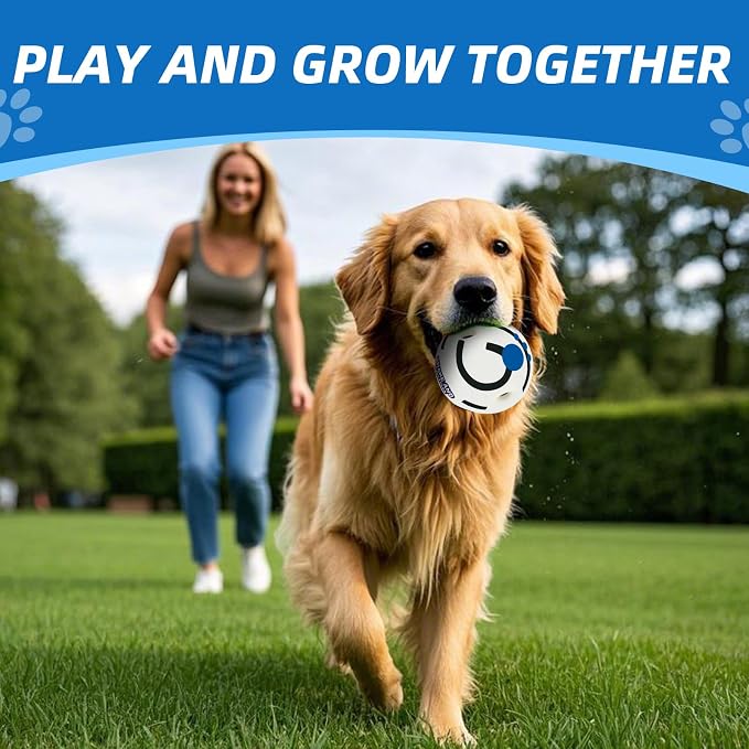 Glow in The Dark Dog Toys Ball, M, 3.46 in (8.8 cm) | Interactive, Shaking with Gibbering Sound