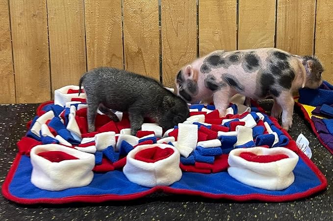 Interactive Dog Snuffle Mat for Mental Stimulation and Enrichment for Dogs, Pigs, Rabbits, and Other Pets (Red White & Blue)