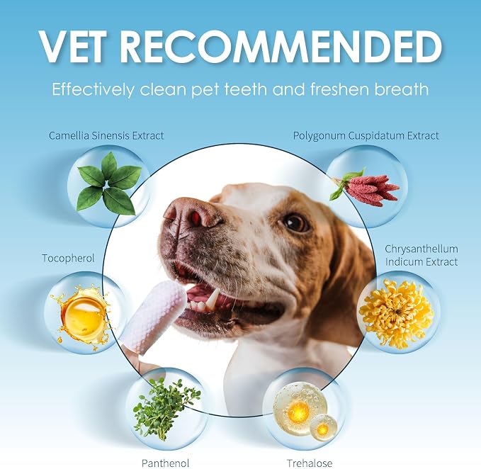 Mooncat Dental Finger Wipes and Paw Balm Bundle for Dogs and Cats - Plaque Tartar Remover Breath Freshener Plus Lick Safe Nose and Paw Moisturizer for Dry Cracked Pads 40 Count and 2oz