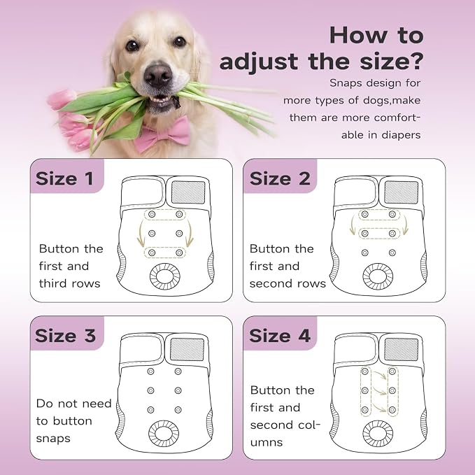 Paw Legend Washable Reusable Female Dog Period Diapers for Heat Doggie Puppy Diapers for Female Dogs (3 Pack,X-Small)