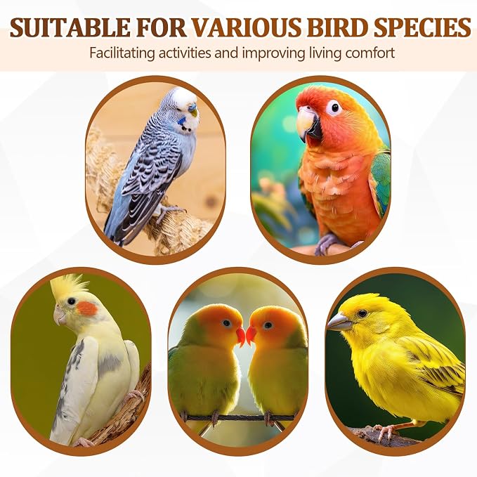 Sintuff 8 Pcs Bird Perches for Cage Accessories, Wooden Perch Rods Replacement with Double Head Slots, 0.6 Inch Diameter Natural Wood Stand for Parrot Macaw Cockatoo Parakeet (24 Inches)