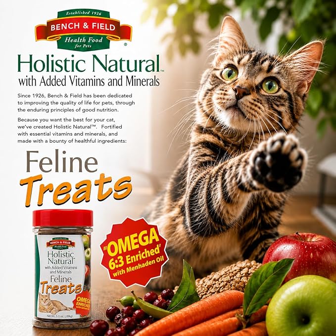 Bench & Field Holistic Natural Healthy Kitty Cat Treats | Crunchy Fish-Shaped Bites | Delicious Seafood Flavored Snack, 3-Ounce (Pack of 2 Bottles)