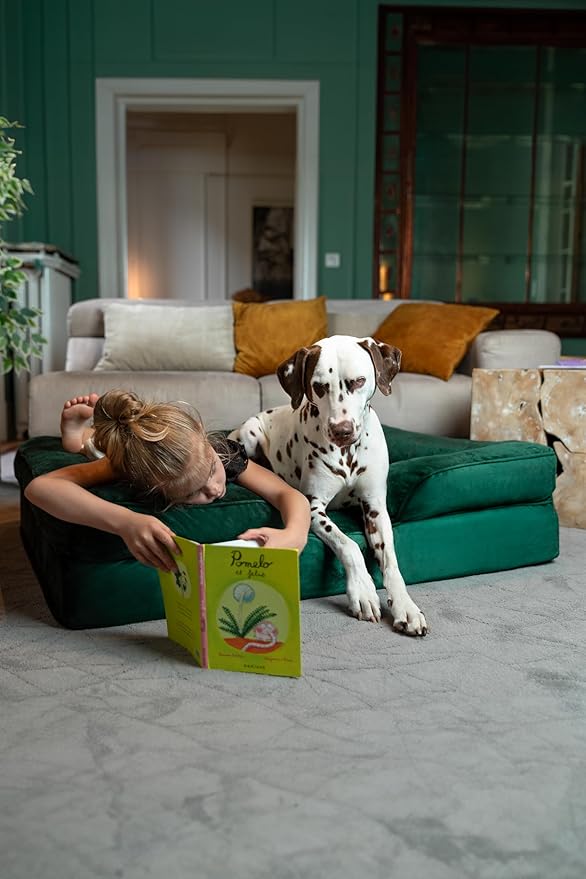 NOAH & PAW XL Dog Bed, 45x35x11 Inch, Orthopedic Large Dog Beds, Eggshell Memory Foam Infused with Cooling Gel, Inner Cover, Water Resistant, Machine Washable (Velvet Sofa Collection)