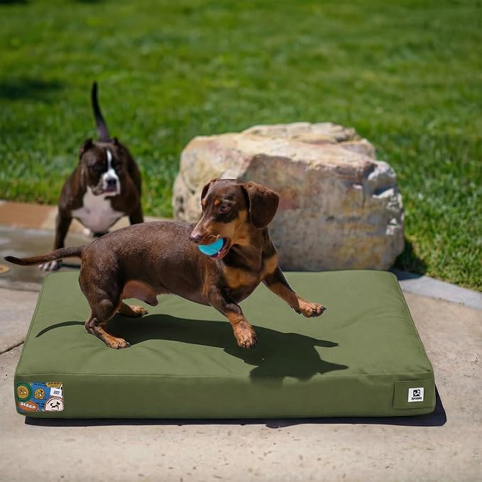 Sytopia 30 Inch Canvas Outdoor Dog Bed for Medium Dogs, Durable Dog Bed with Waterproof Machine Washable Removable Cover, Indoor Patio Pet Pad for Crate, Green