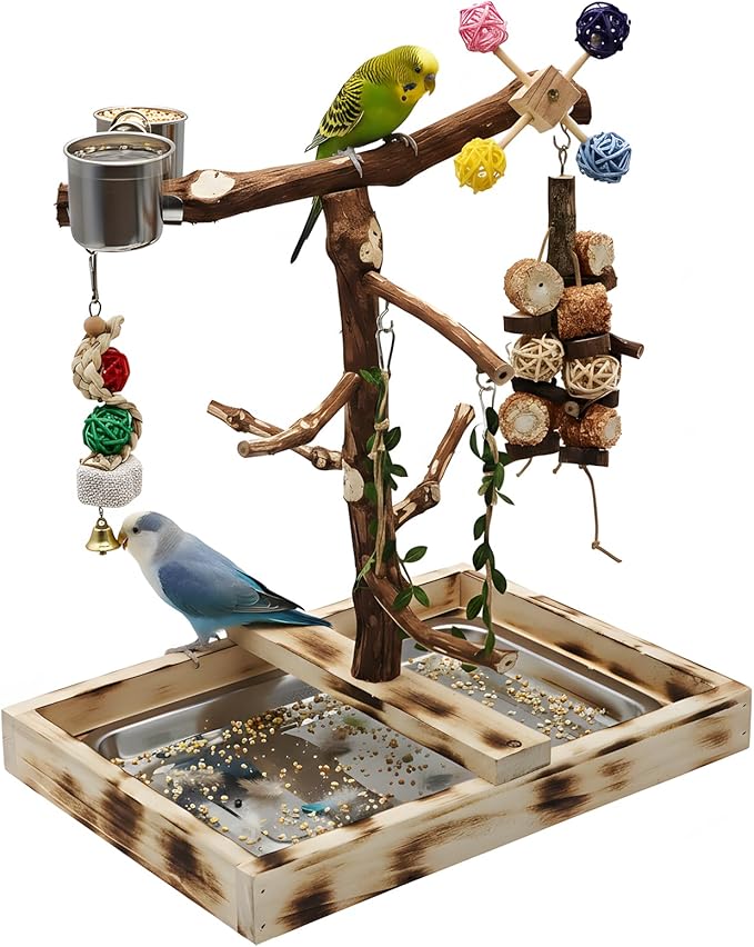 Large Bird Playground with Natural Wood perches, Suitable for Small Birds Such as Budgies, Conures, and Lovebirds. Includes Feeding Cups, a Swing, and Bird Chewing Toys.