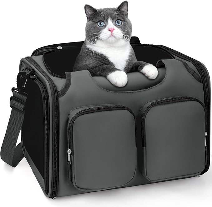 Dog, Cat Carrier for Pets Up to 12 Lbs, Airline Approved Collapsible Soft-Sided Pet Travel Bag with Locking Zippers, Breathable Mesh and 4 Large Pockets, Removable Fleece Pad (Dark Grey)