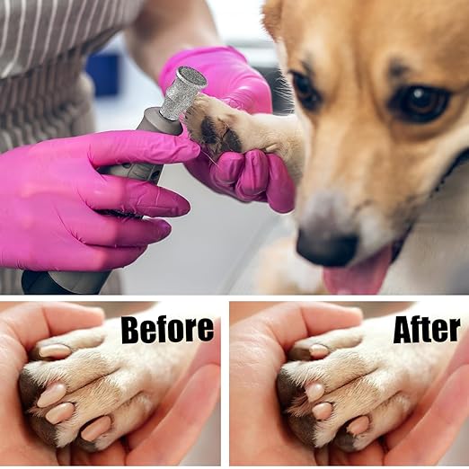 Diamond Dog Nail Grinder Bits - FOCSTOL Diamond Rotory Bit for Dogs&Pets, 2pcs 1/8'' Rotary Nail Grinder Bits for Animals Nail Care (Type B)