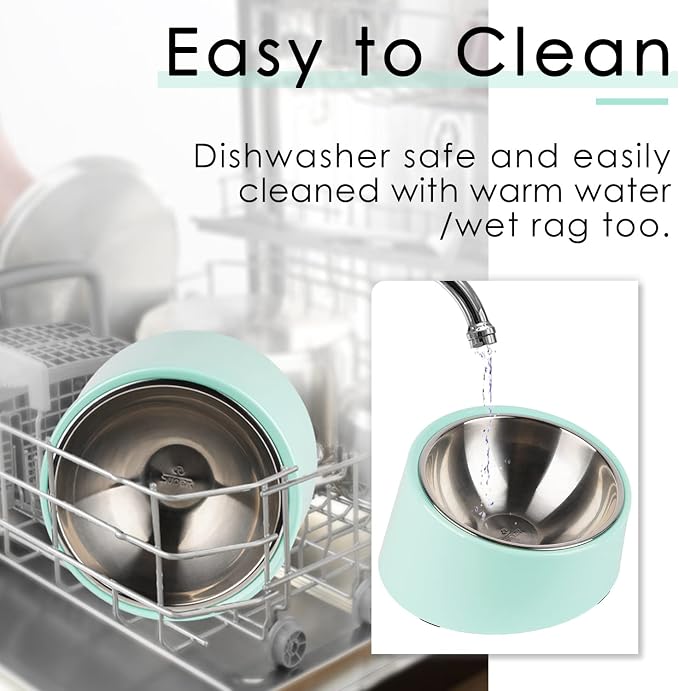 SuperDesign Mess Free 15° Slanted Bowl for Dogs and Cats, Tilted Angle Bulldog Bowl Dog Feeder, Non-Skid & Non-Spill, Easier to Reach Food L/2 Cup Teal