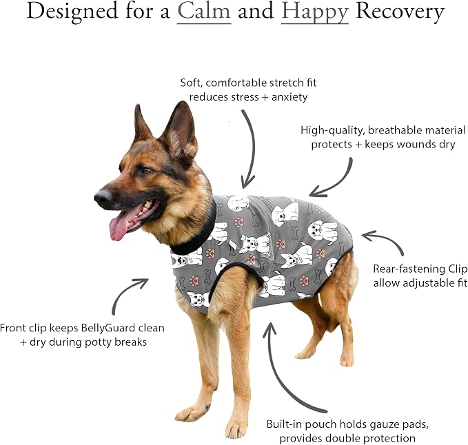 BellyGuard Dog Surgery Recovery Suit, Post-Op Dog Recovery Suit for Female Spay & Male Neuter, Comfy Onesie for Pets, Surgical Body Cover for Canine Healing Support