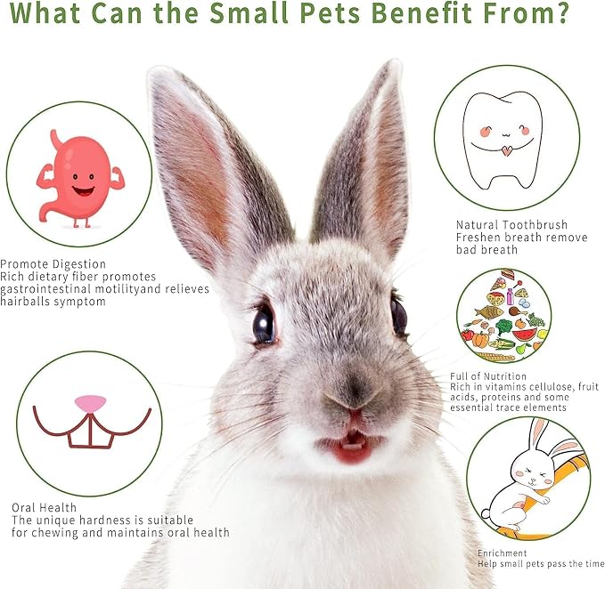 Rabbit Toys Chew Treats Guinea Pig Bed, Bunny Chew Toys Timothy Hay Bamboo Chew Sticks, Grass Ball Carrot Corn Lollipop Toys for Rabbits Guinea Pigs Chinchillas Hamsters Teeth Grinding