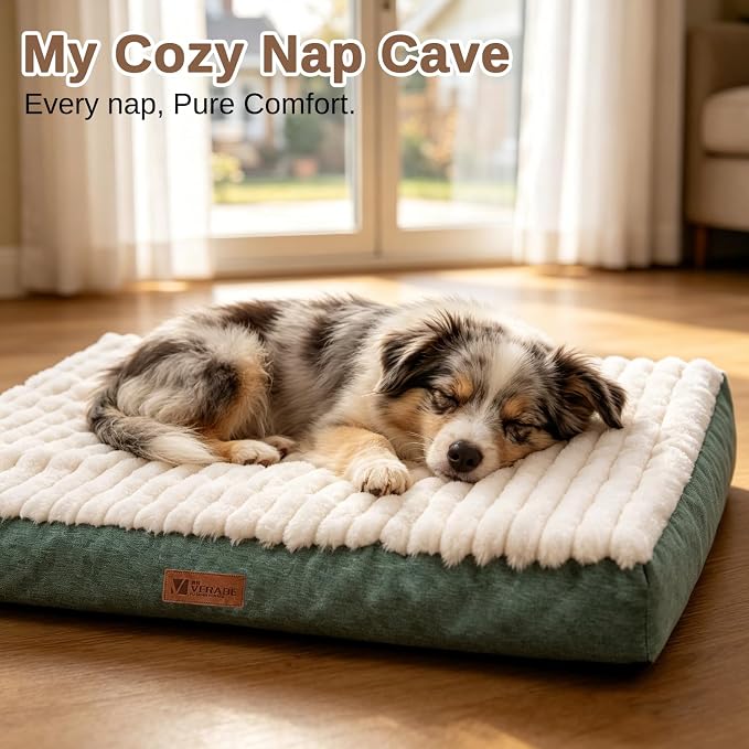 Orthopedic Dog Bed with Firm High-Density Egg Crate Foam,Soft Short Plush Surface Pet Beds,Machine Washable with Removable Cover & Non-Slip Bottom for Medium & Large Breeds (Green, 35"L x 22"W x 3"H)