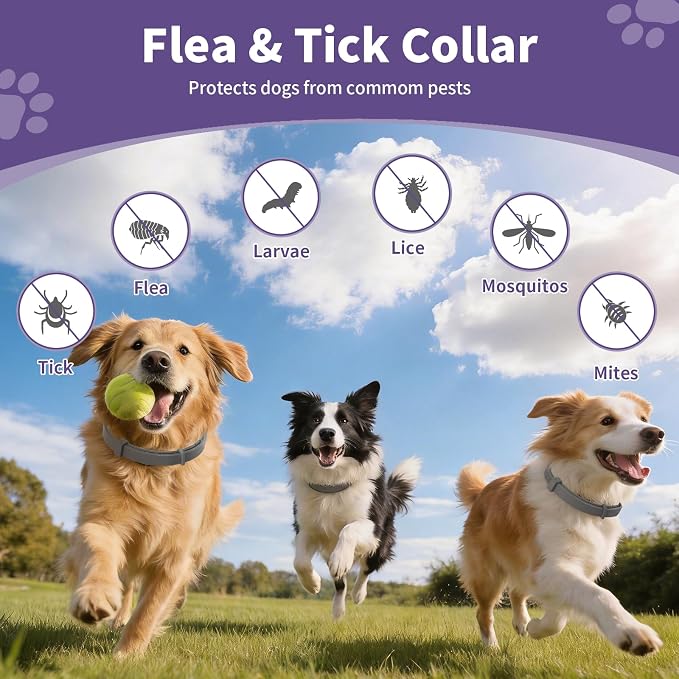 Wiiks&Wooks 3 Pack Adjustable Pet Collar, Comfort Wear Durable Dog Collar for Small Medium Large Breeds