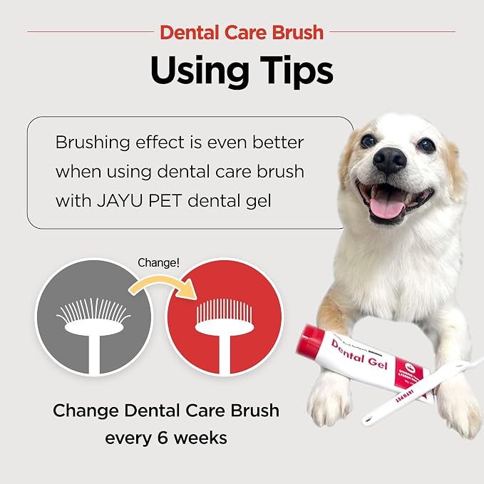 JAYU PET Dental Care Brush, Soft Bristles, 3ea | Dog Toothbrush, Cat Toothbrush, For Kitten and Small Dogs, Removes Old Plaque and Tartar, Easy Cleaning