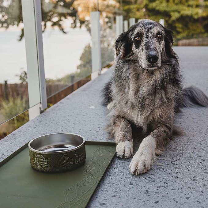 Wilderdog Silicone Pet Placemat Made with 100% Food-Grade Silicone Cone, BPA, PVC, and Phthalate-Free. Non-Toxic, Dishwasher Safe Feeding mat for Bowls with Spill Catcher and Raised Mountain Logo