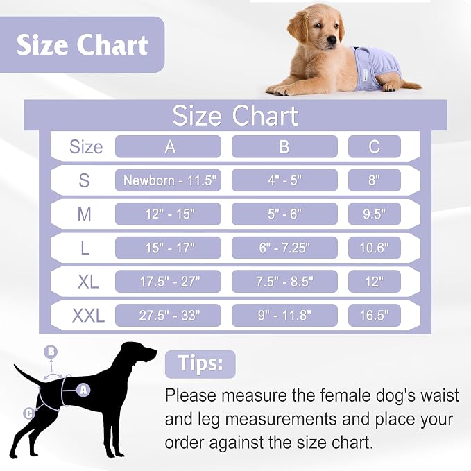 5 Pack Reusable Diapers for Doggie, Highly Absorbent Dog Diapers Female for Pet with Incontinence or Frequent Urination, XX-Large Dog Diapers Female, Pink & Purple