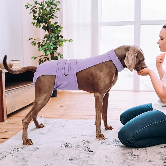 Dog Diapers Female Reusable Washable Period Diaper with Suspender,Adjustable Dog Panties Anti-Harassment, Doggie Diapers for Incontinence, Heat Cycles, or Senior Dogs（XS-XL）
