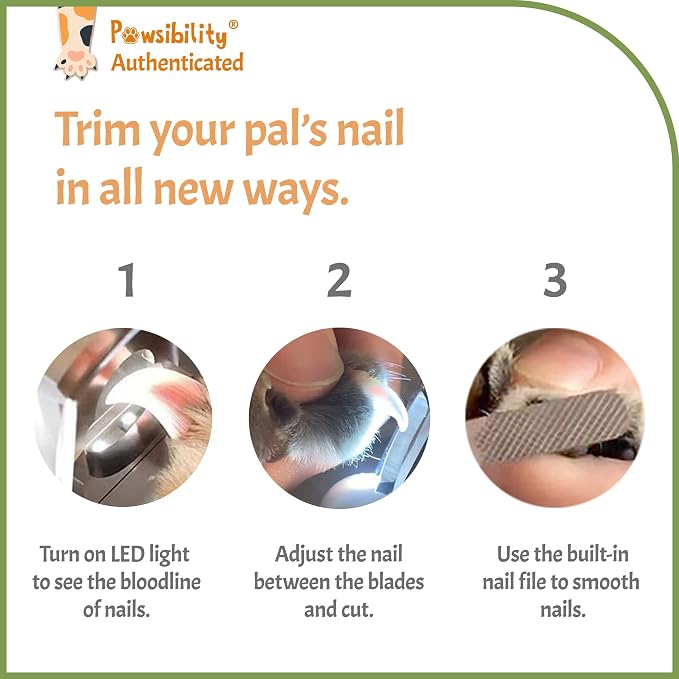 Pawsibility - Reinvented Pet Nail Clippers for Your Pal - [USB Rechargeable] - LED Light for Bloodline | Razor Sharp and Durable Blade | Vets Recommended Trimming Tool for Dogs and Cats - Green