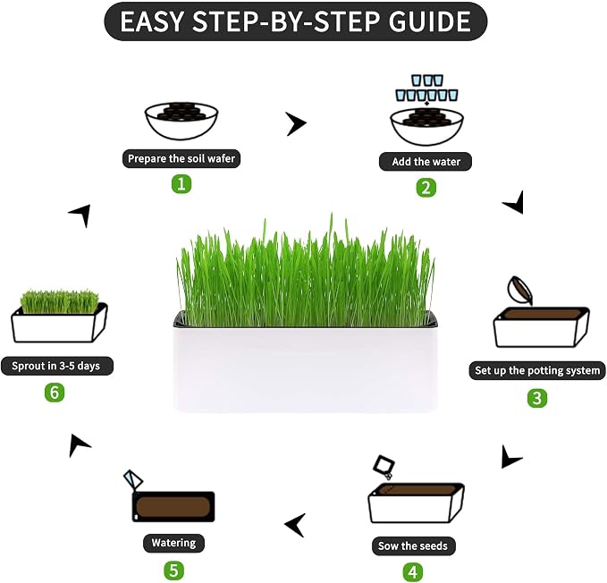 Cat Grass for Indoor Cats with Organic Cat Grass Seed Mix - Rectangular Planter | Fresh Indoor Cat Grass Garden | Perfect for Cats, Dogs & Small Pets