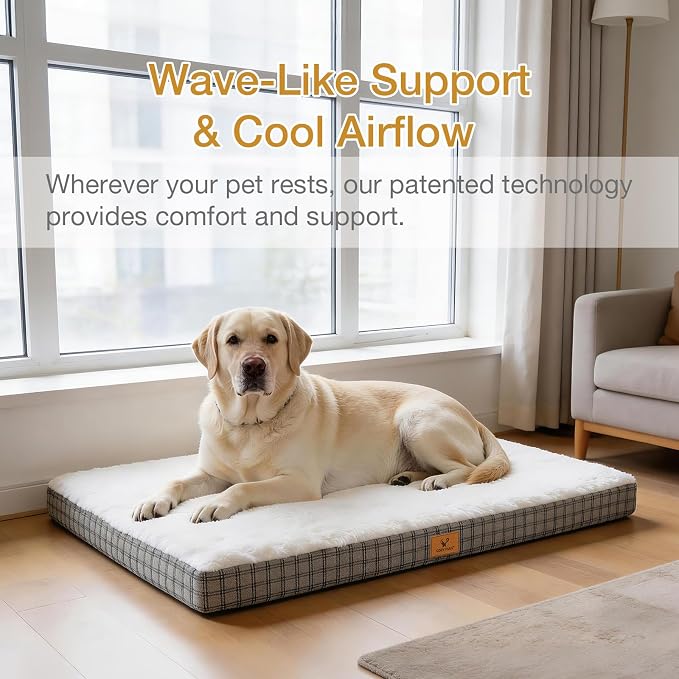 Orthopedic Dog Bed for Large Sized Dogs with Removable Washable Cover, Premium Comfort for Dogs, Multiple Sizes & Colors,Durable and Easy to Clean (Grey, Medium)