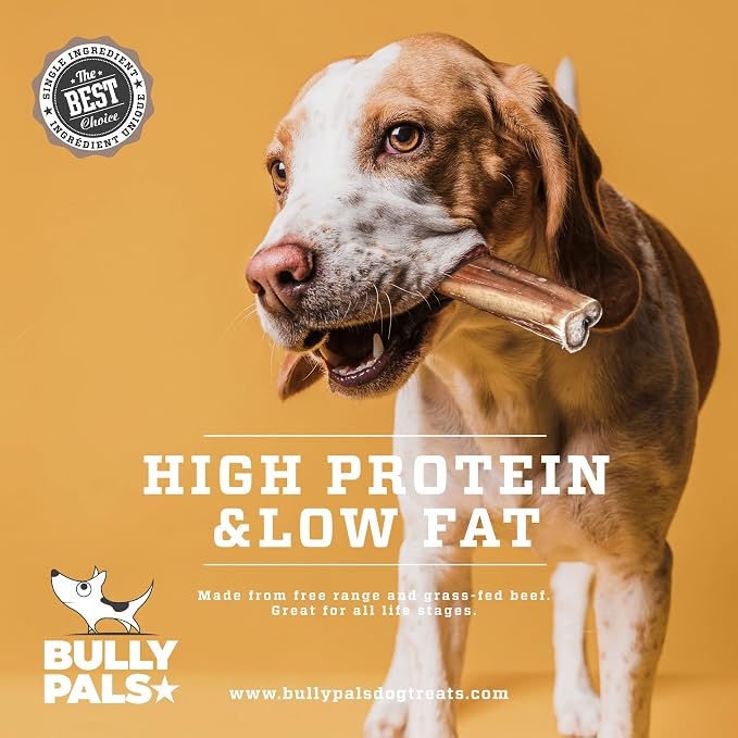 6 inch Standard Bully Sticks for Small to Medium Dogs (10 Pack) - All Natural Dog Bones & Dental Chews, Long Lasting Pizzle Sticks, Easily Digestible, Rawhide Free Beef Dog Treats
