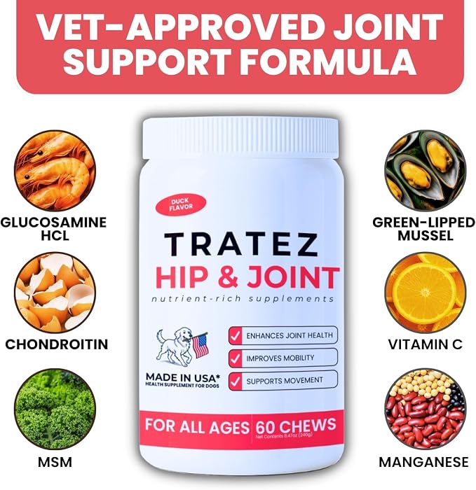 Hip & Joint Supplement for Dogs - Glucosamine Chondroitin MSM & Green Lipped Mussel Soft Chews - Dog Joint Pain & Mobility Support for Senior & Large Breed Dogs, Duck Flavor, 60 Count