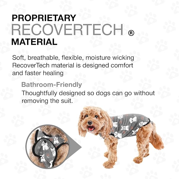 BellyGuard Dog Surgery Recovery Suit, Post-Op Dog Recovery Suit for Female Spay & Male Neuter, Comfy Onesie for Pets, Surgical Body Cover for Canine Healing Support