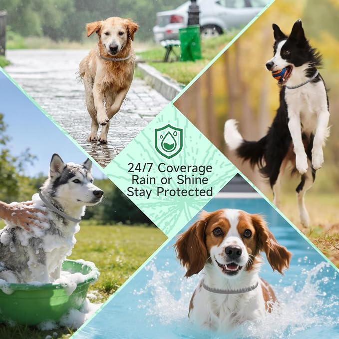 4 Pack Flea Collar for Dogs, 32 Months Flea and Tick Prevention for Dogs, Dog Flea and Tick Treatment, Adjustable Dog Flea Collars, Waterproof Dog Flea Treatment Collar, Flea Treatment for Dogs, Grey