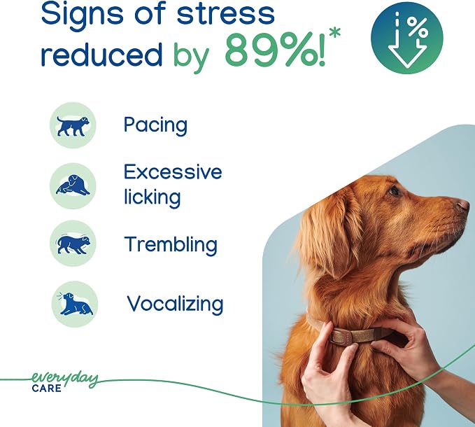 Virbac ZENIDOG® Long-Acting Collar for Dogs | Calming Pheromone Collar for Stress Relief, Medium/Large Dog - Lasts up to 3 Months