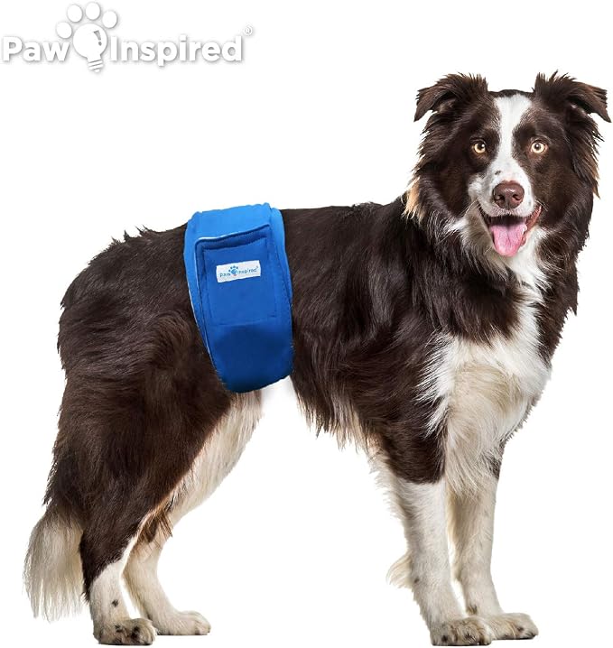 Paw Inspired 2-Count Reusable Male Dog Wraps, Washable Diapers for Male Dogs, Belly Bands for Incontinence, Surgery, Male Marking (Large Size, Assorted Colors with White Lining, Pack of 2)