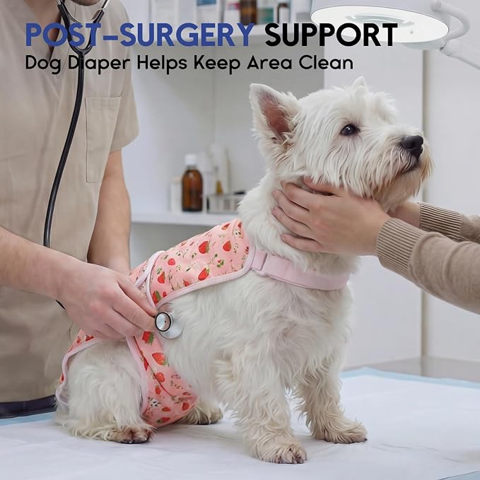 ASENKU 2 Pack Female Dog Diapers with Suspenders, Reusable Washable Puppy Panties for Small Dogs, Leak-Proof Pet Underwear for Heat Cycle & Period