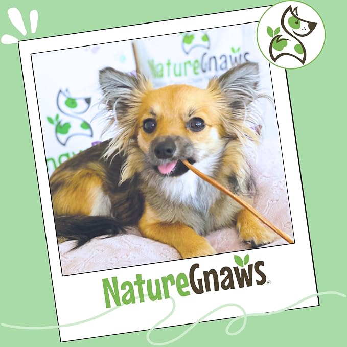 Nature Gnaws Super Skinny Bully Sticks for Small Dogs 5-6" (40 Count) - Long Lasting for Light Chewers and Puppies - Extra Thin Natural Beef Dog Chew Treats