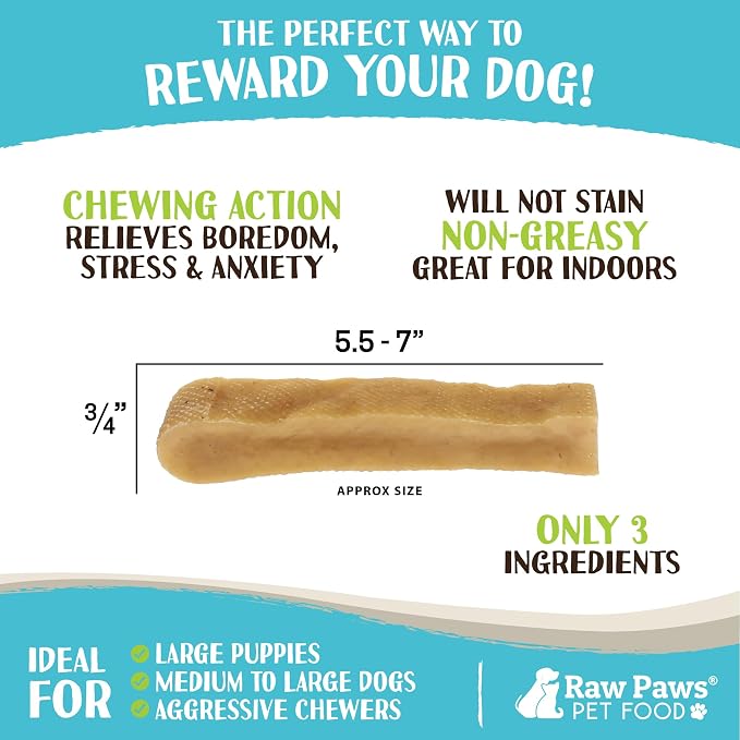 Raw Paws Himalayan Yak Chews for Dogs, Large (10 Pack) - Packed in USA - Tibetan Yak Cheese Dog Chews for Medium to Large Breeds - Hard Milk Dog Chew Bones - Single Ingredient - Long Lasting