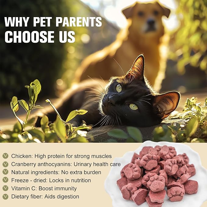 Memorjew 50g Chicken & Cranberry Freeze- Dried Blend for Cats & Dogs, Natural Grain-Free Nutritious Snack, No Artificial Additives(Chicken & Cranberry 50g)