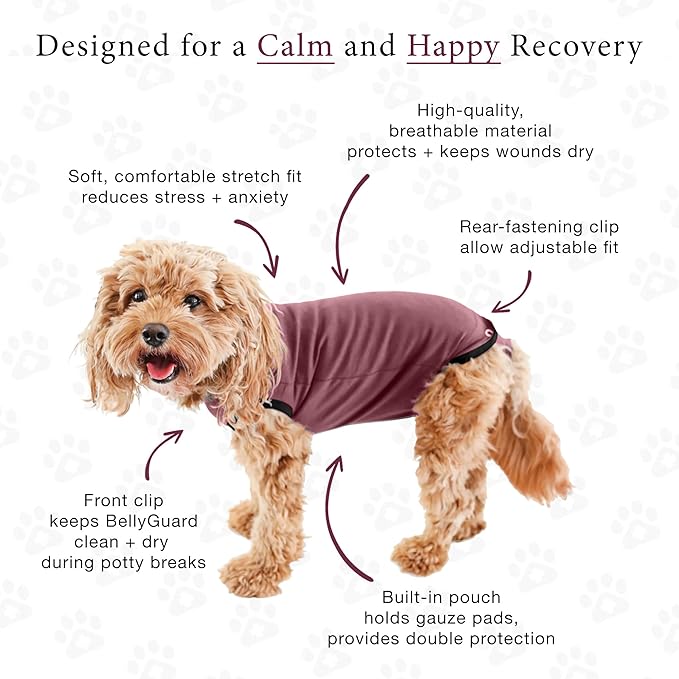 BellyGuard Dog Surgery Recovery Suit, Post-Op Dog Recovery Suit for Female Spay & Male Neuter, Comfy Onesie for Pets, Surgical Body Cover for Canine Healing Support