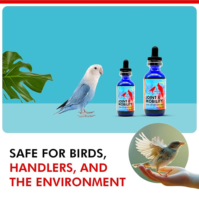 Morning Bird Joint & Mobility 2 fl oz – Herbal Liquid Supplement for Birds – Supports Joint Health, Muscle Comfort & Mobility – Ideal for Aging or Recovering Birds