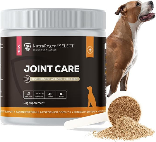 NutraRegen Dog Joint Supplement 45 Scoops | Natural Glucosamine Chondroitin for Dogs with Collagen | Hip and Joint Powder | 7.7 Oz