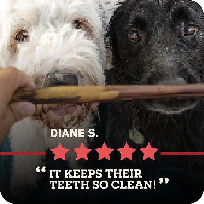 Redbarn Pet Products Bully Springs for Dogs, 3-Count, Pack of 15