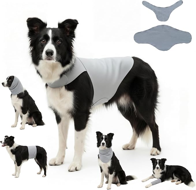 DAJIDALI® Dog & Cat Anxiety Vest & Spay Recovery Suit – Silent Adjustable Calming Wrap for Surgery & Thunderstorms – 2-Piece Cone & Recovery Onesie Alternative