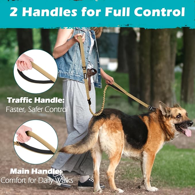 PetBonus Heavy Duty Tactical Dog Leash and 2-Pack Large Silicone Collapsible Dog Bowls