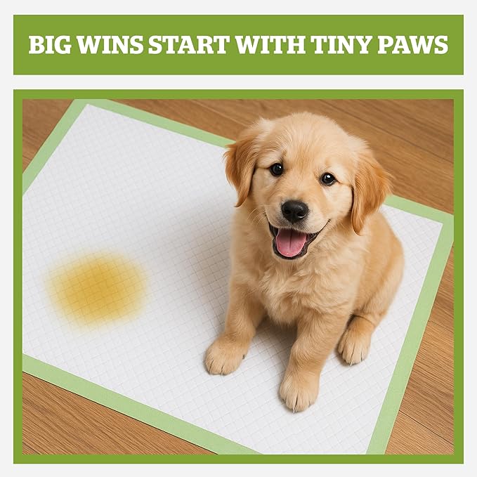 Pogi’s Puppy Pads with Sticky Tabs – Medium, Super Absorbent, Odor Blocking, 20-Count (18x24in)