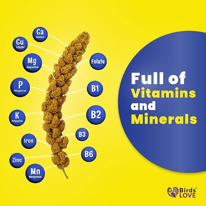 5lbs Economy & Special Spray Millet for Birds – GMO-Free, No Stems (Only Edible Tops) – 100% Natural Sun-Dried Foraging Treat for Cockatiels, Lovebirds, Parakeets, Finches & Canaries