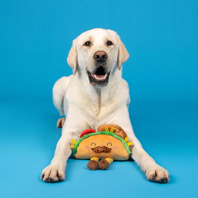 Fringe Studio Plush Dog Toy, Spicy Sidekick, Pet Shop Collection (314532) (Pack of 2)