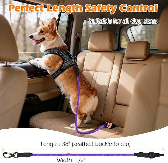 PetBonus Dog Seat Belt for Car and 2-Pack Silicone Collapsible Dog Bowls