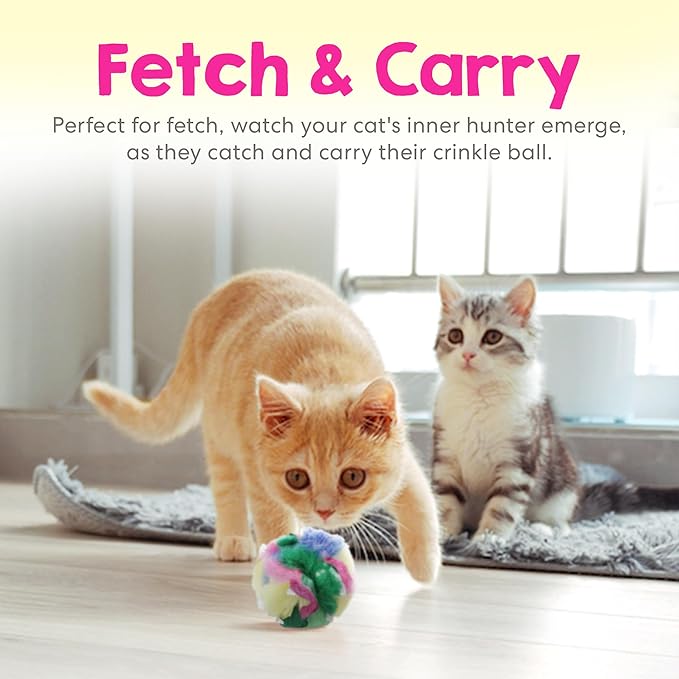 Large Cat Crinkle Ball 2.5 Inch | 1 Pack | Soft Lightweight Indoor Cat Toys with Durable Crinkle Build and Engaging Sound