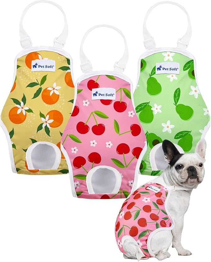 Pet Soft Dog Diapers Female Onesie Sanitary Pantie with Adjustable Suspender, Colorful Pattern Washable Puppy Diapers Female, Super Absorbent Underwear Dog Diaper for Heat (Fruit, M)
